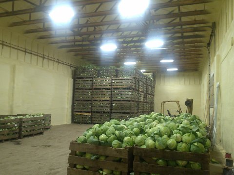Storage structure with protective coating applied before service